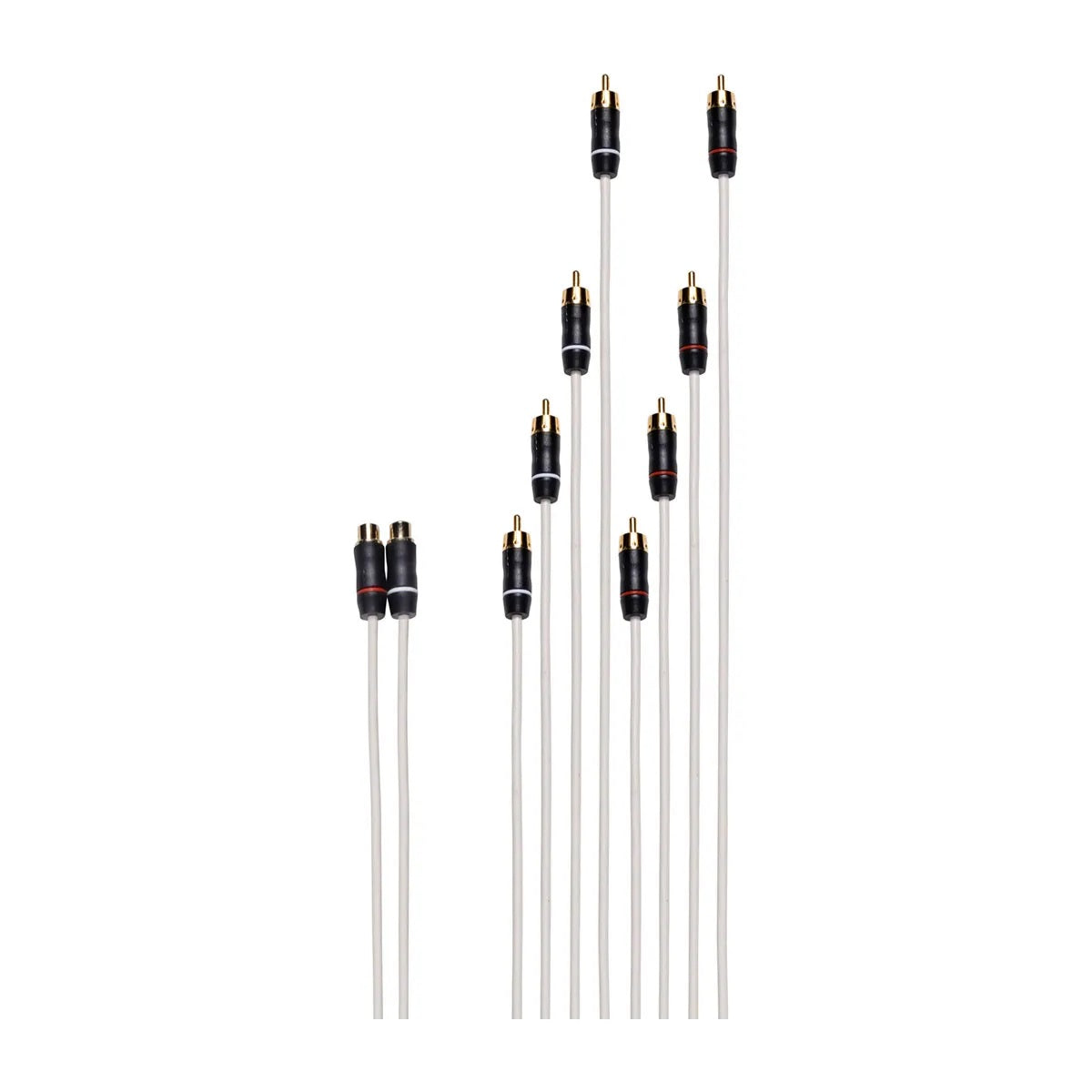Fusion Rca Splitter Cable 2 Female Rca's To 8 Male Rca's