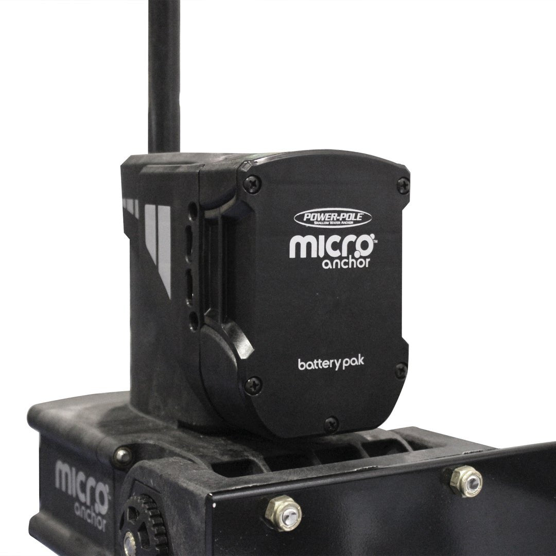 Micro Battery Pak & Charger