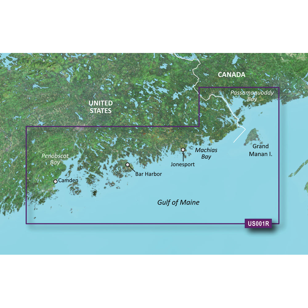 Garmin VUS001R G3 Vision North Maine