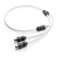 JL Audio Marine Y-Adapter 1 Male Plug, 2 FeMale Jacks