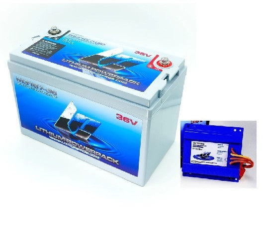 LITHIUM PROS Lithium Pros Battery Kit, M3167-36 and DC Charger Bluetooth | L3167-36CK | M31-36CK | DROP SHIP ITEM, FREE FREIGHT