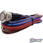 PLASHLIGHTS Marine Push Button Switch - Red LED - 20a - Stainless Steel - Momentary | PL22SS-M-RD