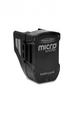 Micro Battery Pak & Charger